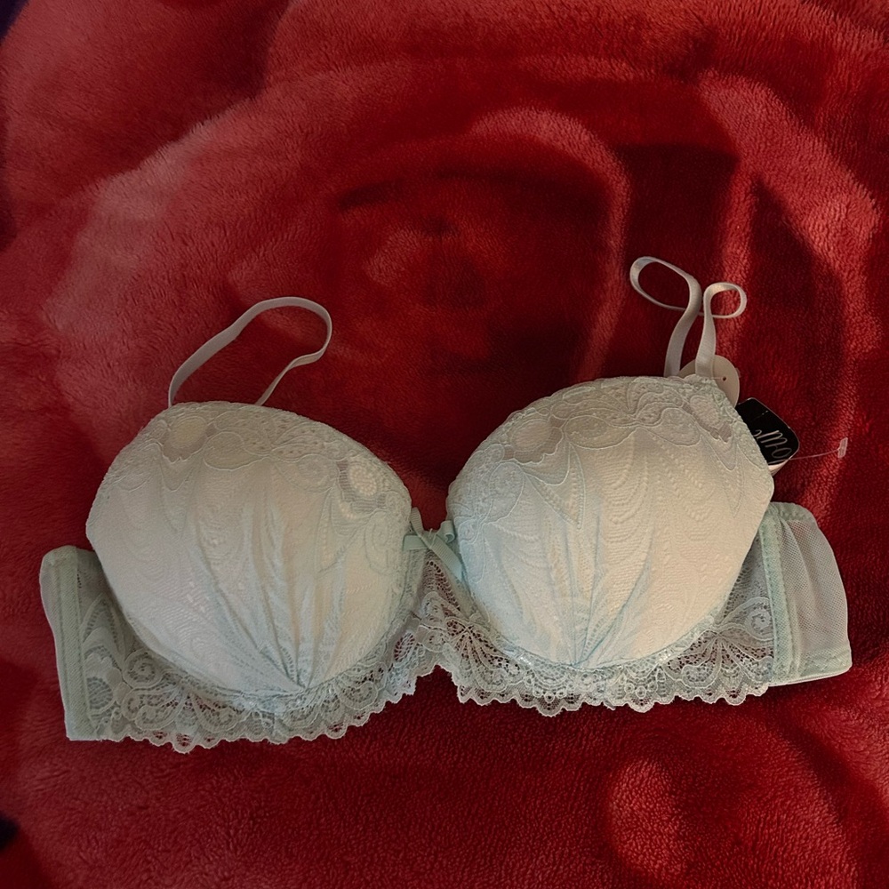 Paramour Lace Trim Bra in Soft Blue